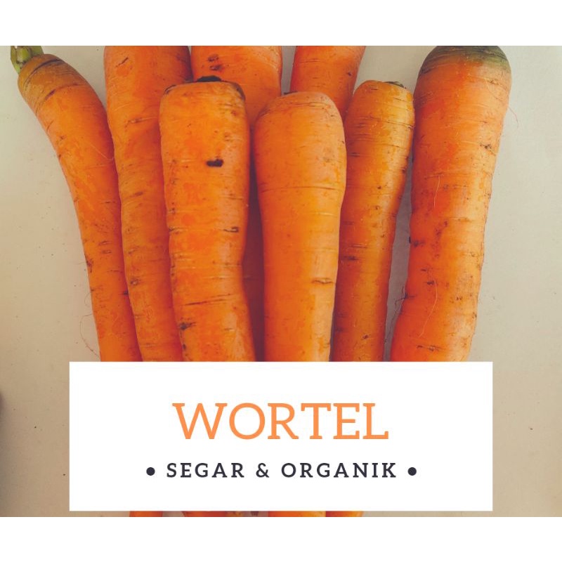 

wortel pangalengan fres\wortel murah\wortel lokal\wortel\wortel fres
