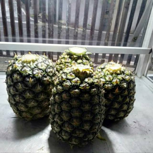

Nanas Honi lampung min 1.3 kg