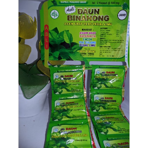 Daun Binahong ORI kapsul+extra binahong+rentengan kapsul+asam urat kapsul+pegel linu kapsul+boyolali