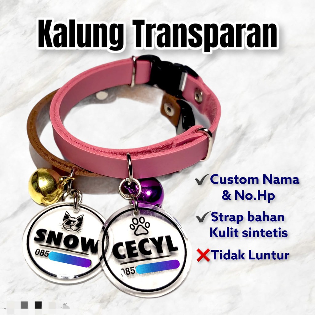 Kalung Kucing Nama Custom Transparant Strap Kulit