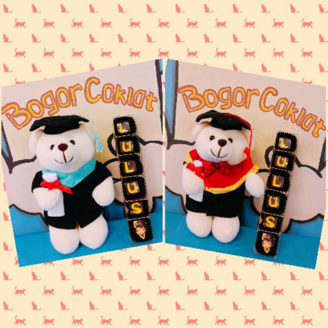 

Kado Wisuda Boneka Teddy dan Coklat