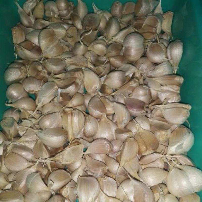 

bawang putih kating 250 gr