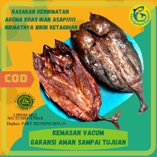 

IKAN ASAP CAKALANG FUFU PANGGANG INSTAN kemasan vacum berat segar 800 G