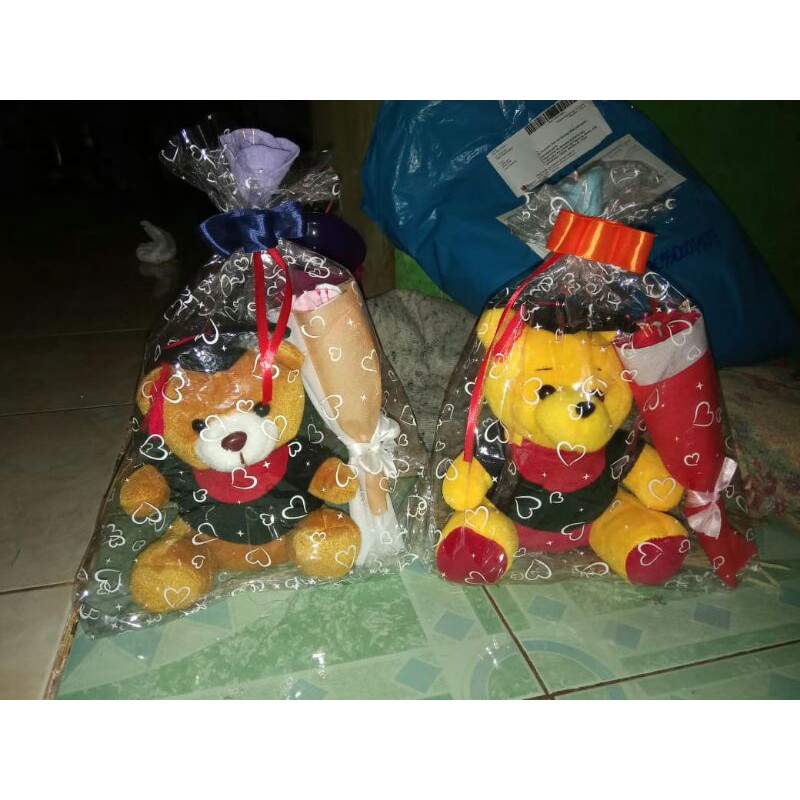 Boneka Wisuda unik + Bunga/Boneka wisuda Termurah/ Hadiah ultah/Kado anniv/ Buket boneka wisuda