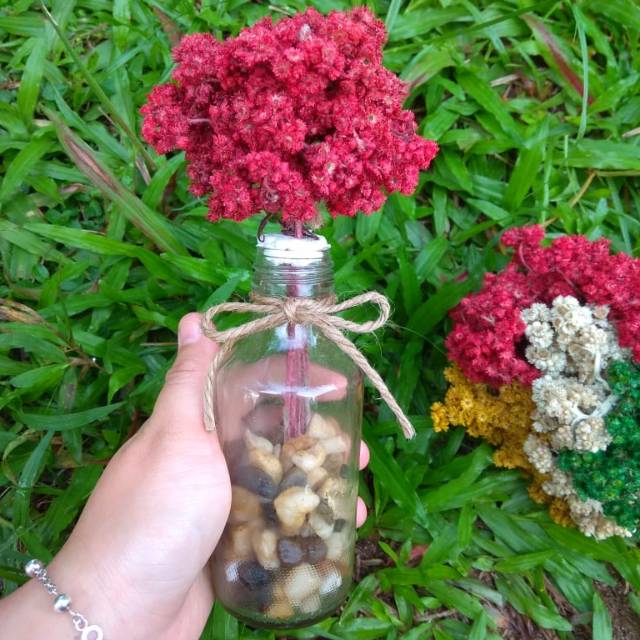 Kado unik/kado spesial/kado ultah/bunga edelweis botol/Botol kaca bunga edelweish merah