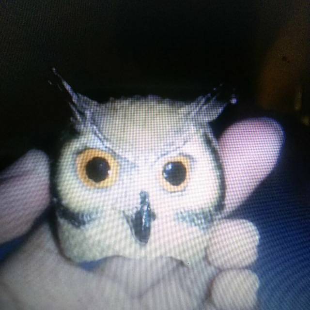 Woggle,ring hasduk pramuka  motif burung hantu