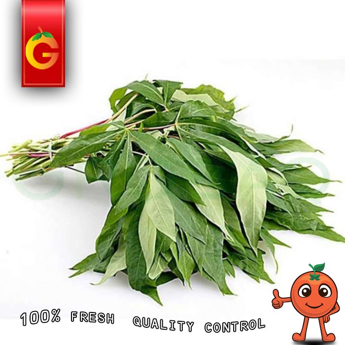 

SAYUR DAUN SINGKONG / IKAT