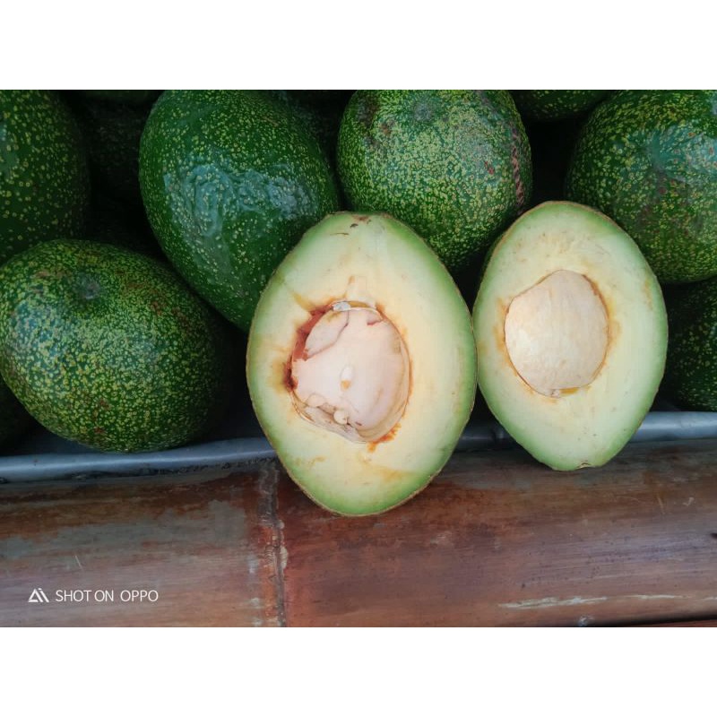 

alpukat mentega