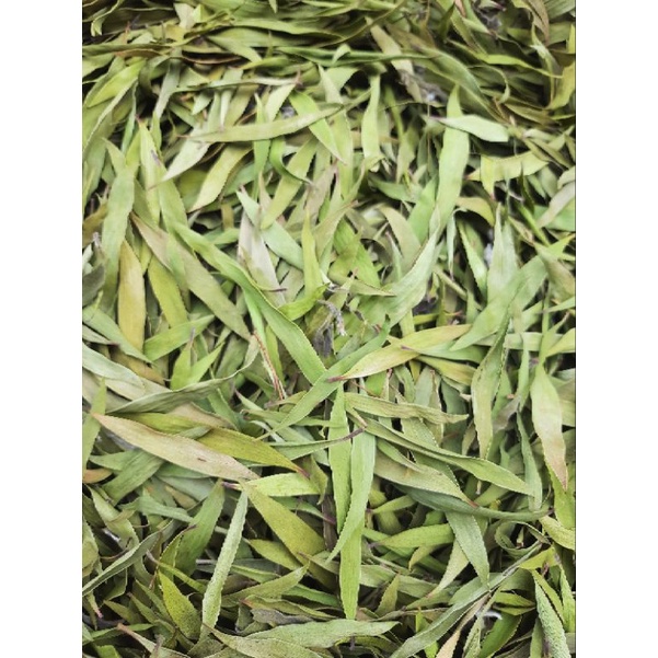 

1kg Daun Kayu Putih Kering isi 1 kg