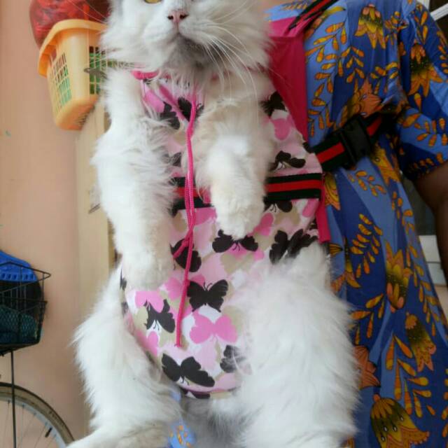 Gendongan kucing motif kupu-kupu tas kucing murah meriah size S-XL