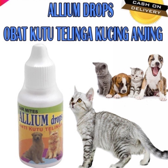 PH.Medan ALLIUM DROP 30ML - Anti Kutu Telinga Kucing/Anjing