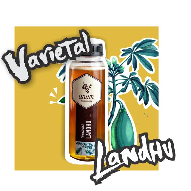 

Madu randu. Madu anum. Raw honey. Madu mentah. Madu ternak