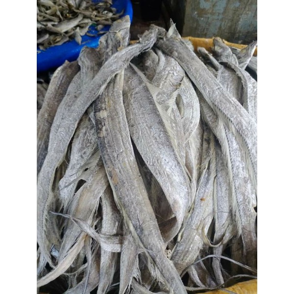 

Ikan Bledang 1kg Medan