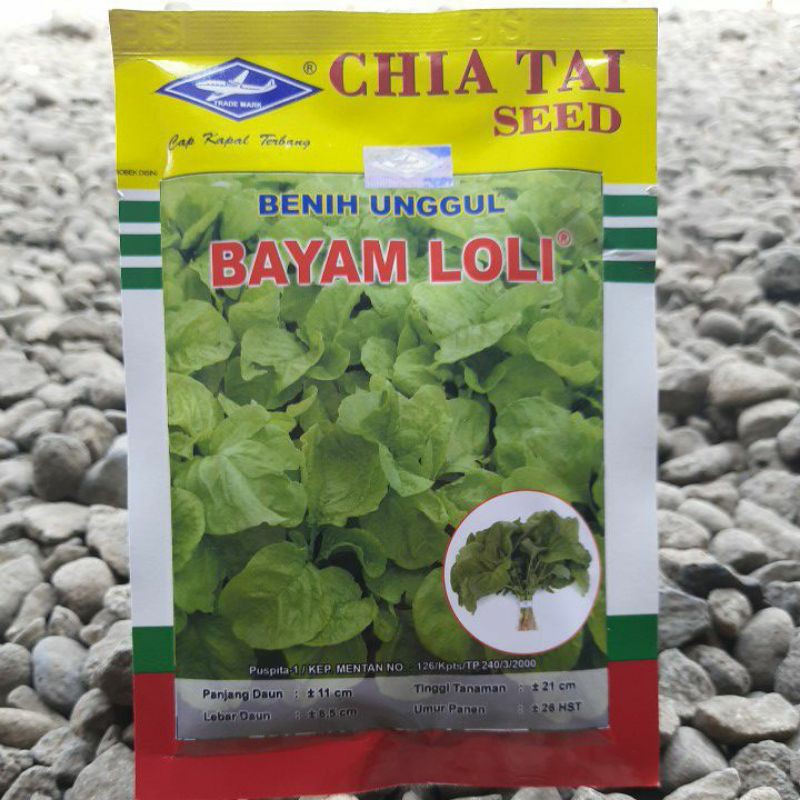 Benih Biji Bibit Sayur Bayam Unggul BAYAM LOLI isi(100gr)