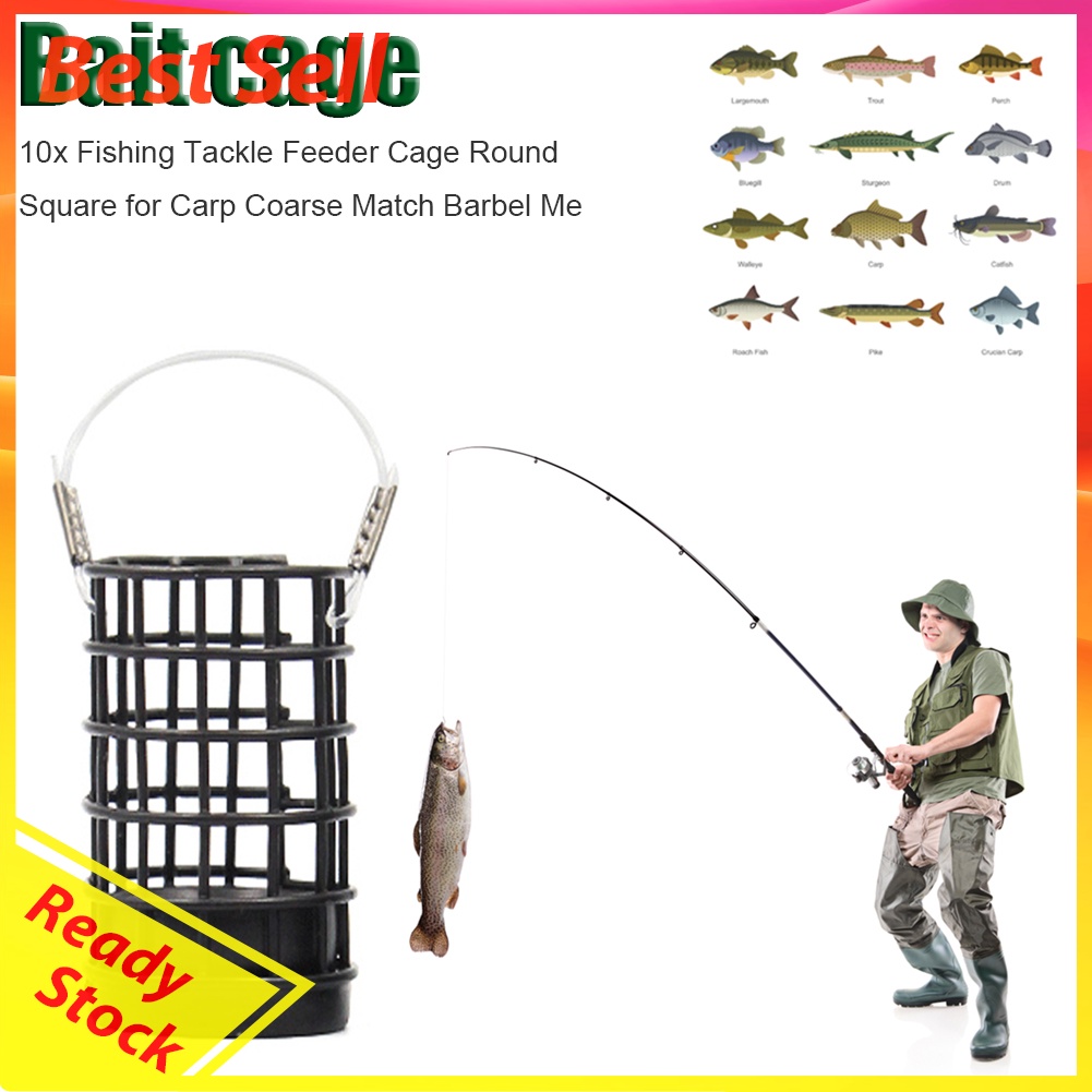 Fishing Bait Cage Hollow Stainless Steel Feeding Lure Trap Feeder Tackle