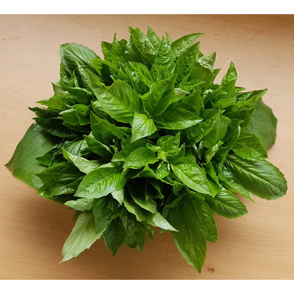 

Daun Basil Organik 100 gram - Tanpa Pestisida