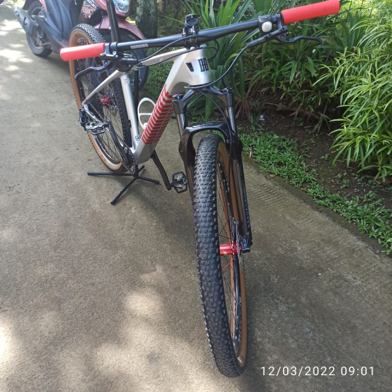 Sepeda gunung DOMINATE CXC ELITE 29 inch