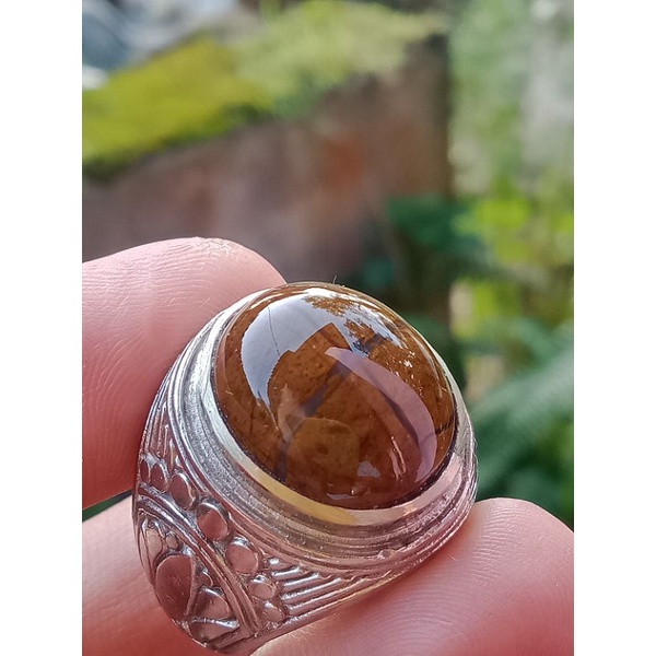 Batu cincin tapak jalak badar asem