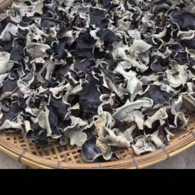 

jamur kuping kering 250gr