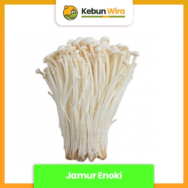 

Jamur Enoki