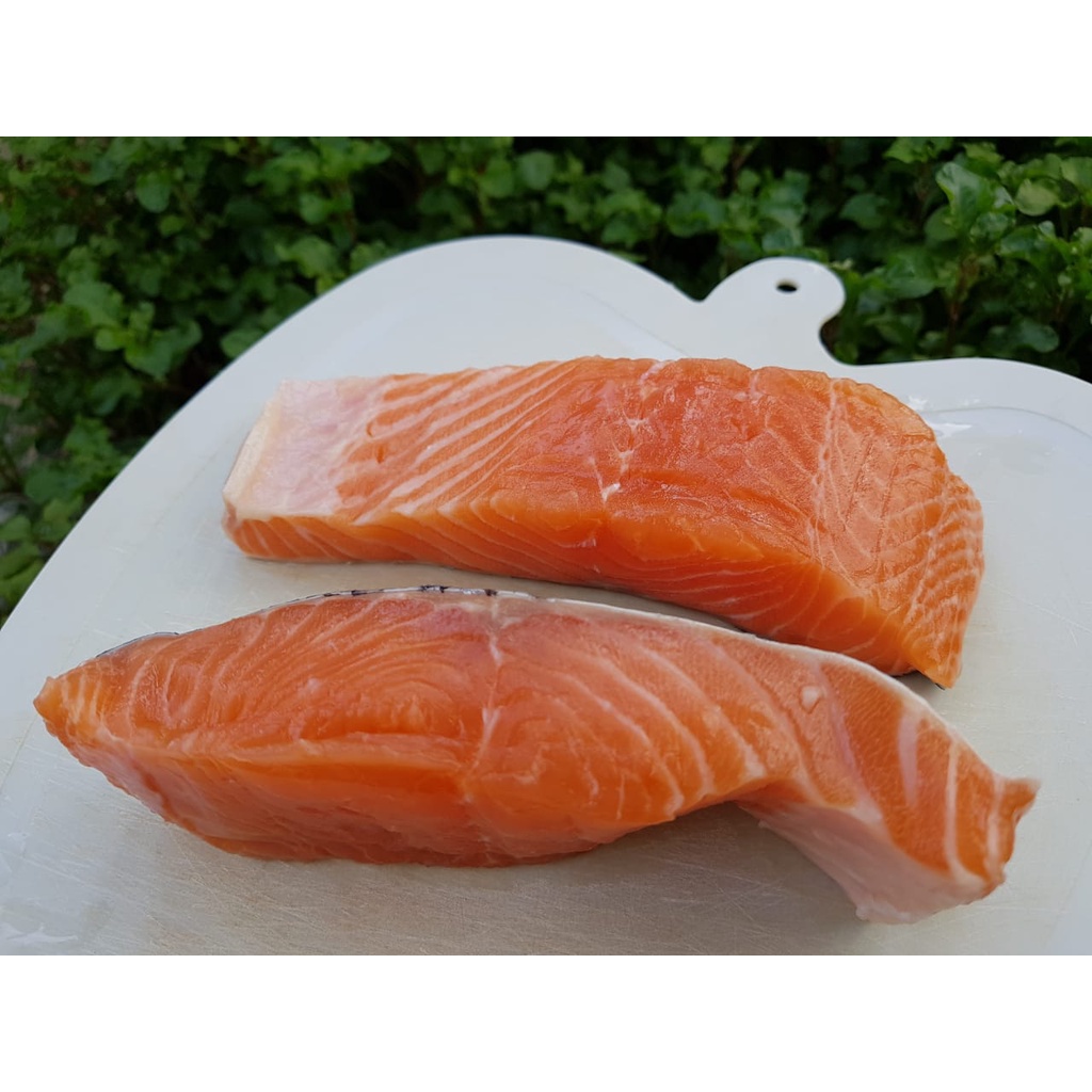 

FRESH SALMON 500g SBY ONLY BY GOSEND PO ONLY