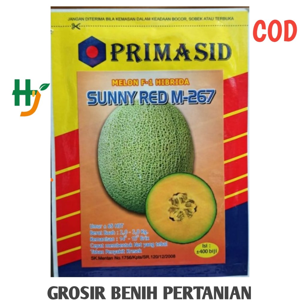 Benih melon sunny red m 267 20 gr isi 400 biji dari PRIMASID