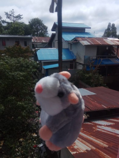 Baskom Talenan Lipat/magic Talenan Lipat Alat Dapur Serbaguna - 100267