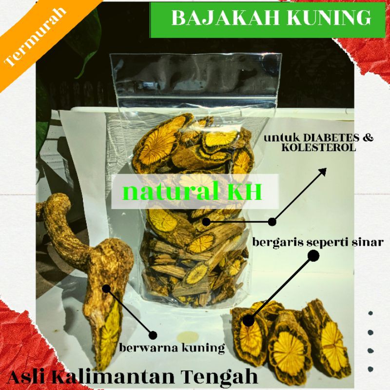 

OBAT HERBAL AKAR BAJAKAH KUNING ASLI HUTAN KALIMANTAN TENGAH 1Kg