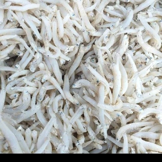 

ikan teri toge medan 500 gram