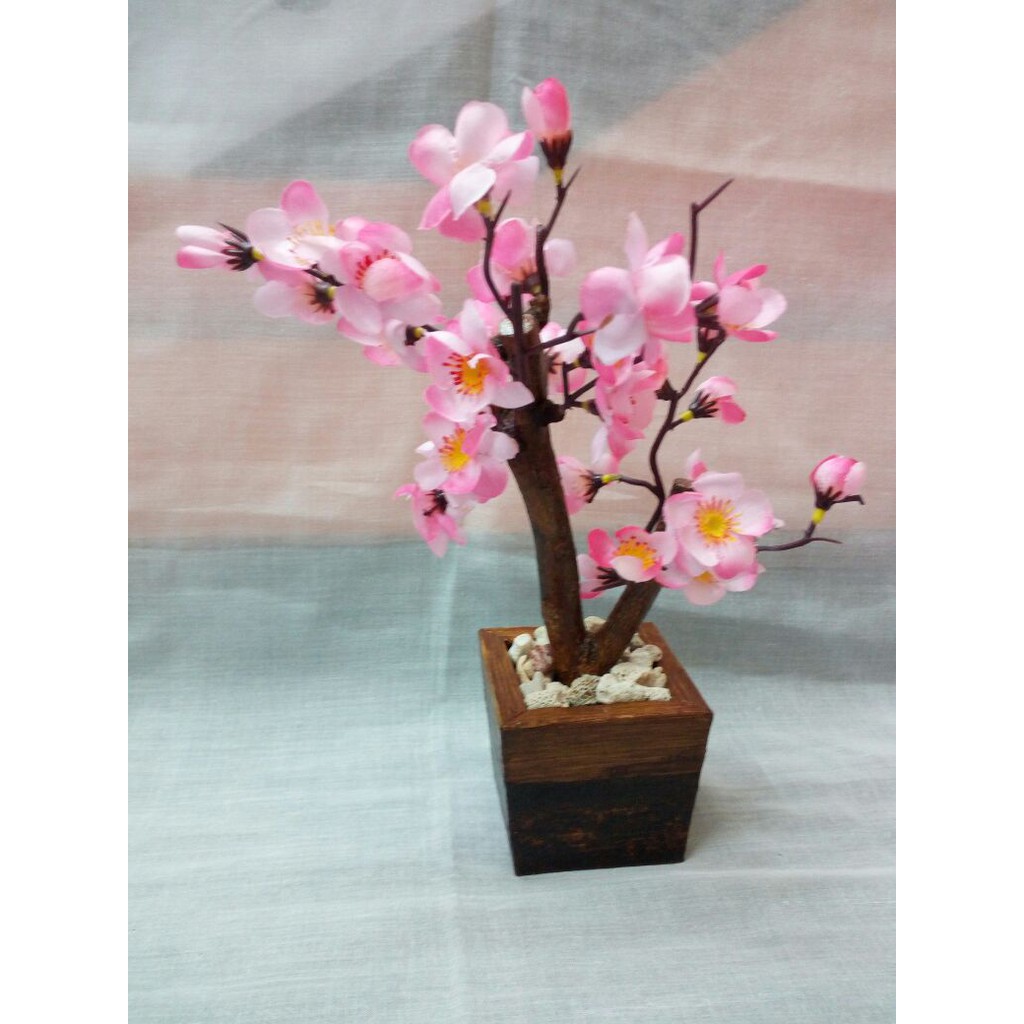 

Bunga Sakura Mini Pink