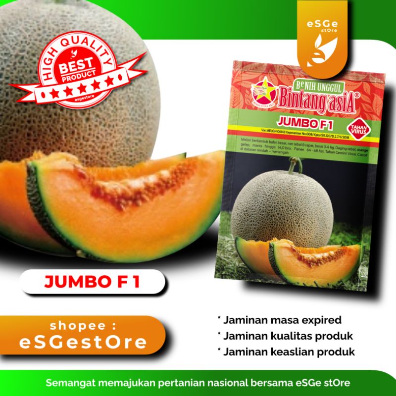 [ORIGINAL] Benih bibit melon orange jumbo