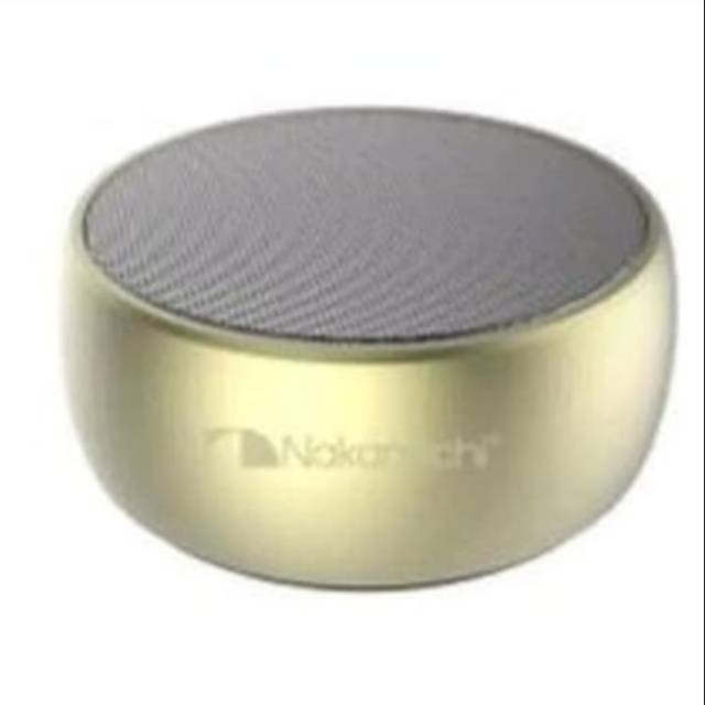 Nakamichi speaker
