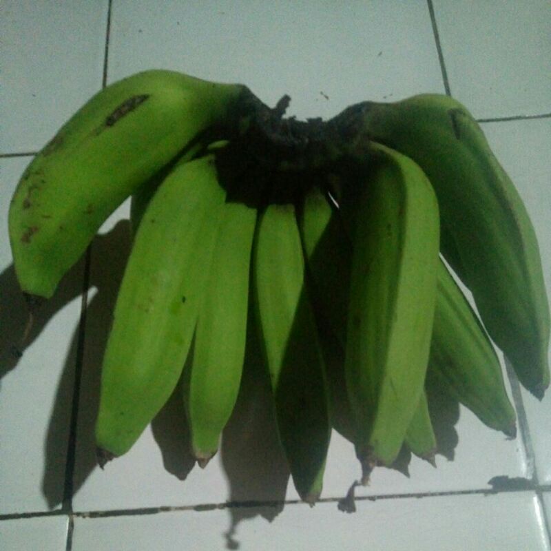 

Pisang Nangka Mentah 1kg