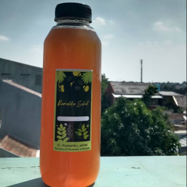 

Minuman probiotik fermentasi nanas, tepache 500 ml
