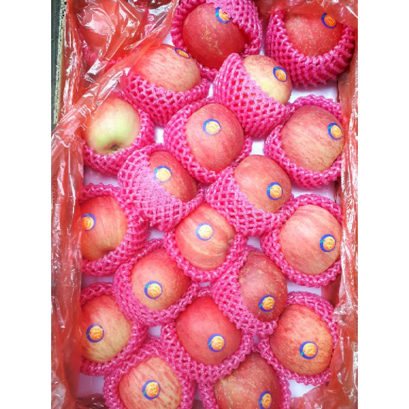 

Apel Fuji Premiun