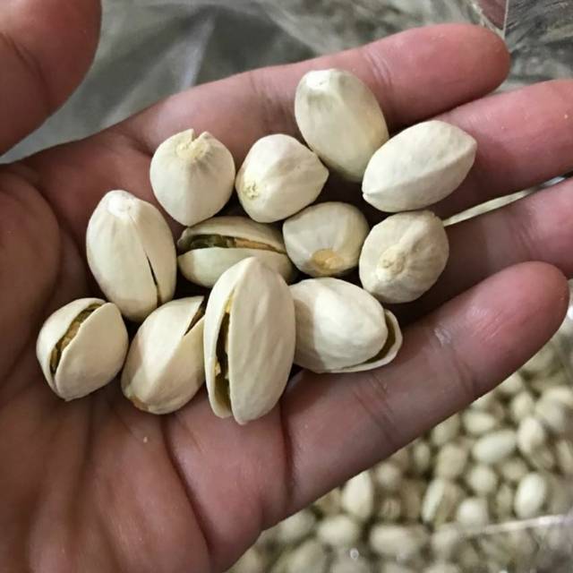 

Kacang Pistachio