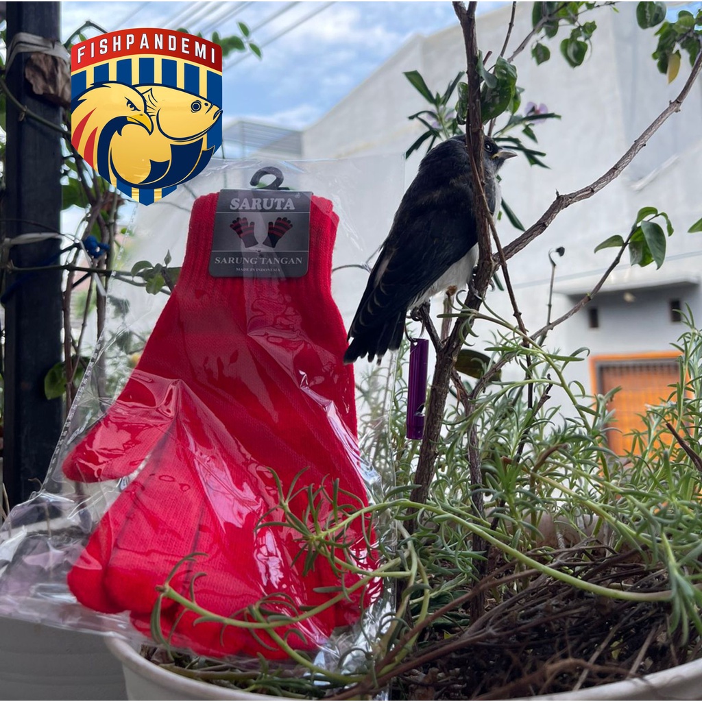 Sarung tangan Kain dan Pluit Ultrasonik Perlengkapan Burung Free Fly KEKEP BABI PARKIT JALAK KEBO LO