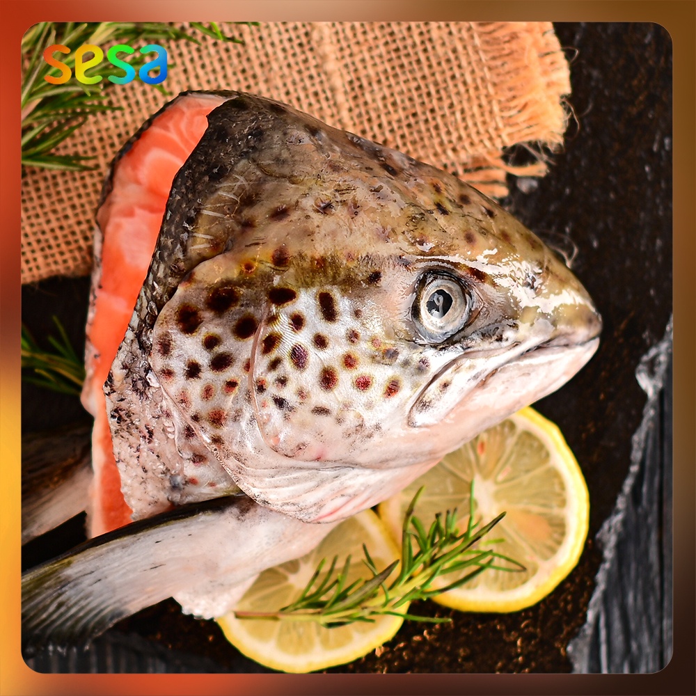 Kepala Salmon Trout Fresh /pcs