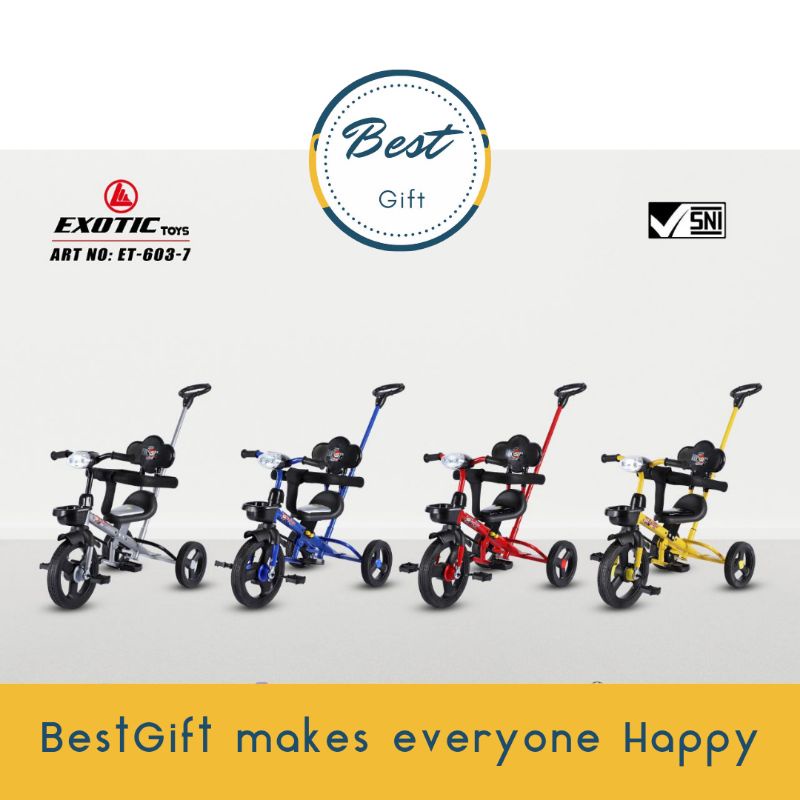 TRICYCLE ET-603-7 (STIR) EXOTIC/ PMB Iora TC06