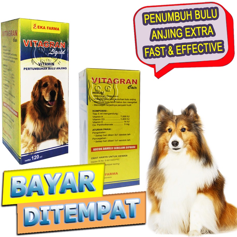Vitagran Vitamin Penumbuh Bulu Anjing Pelebat Obat Anti Rontok