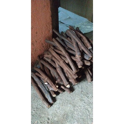 Cutting anggur Alfonso fres 1batang ukuran besar