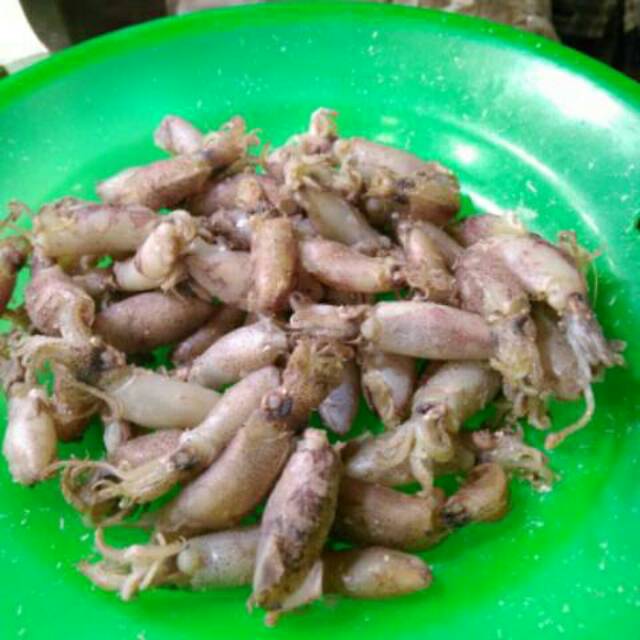 

CUMI Sotong Campur kecil sedang besar 1kg