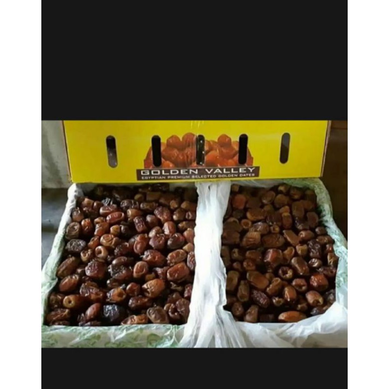 

kURMA Golden Valley