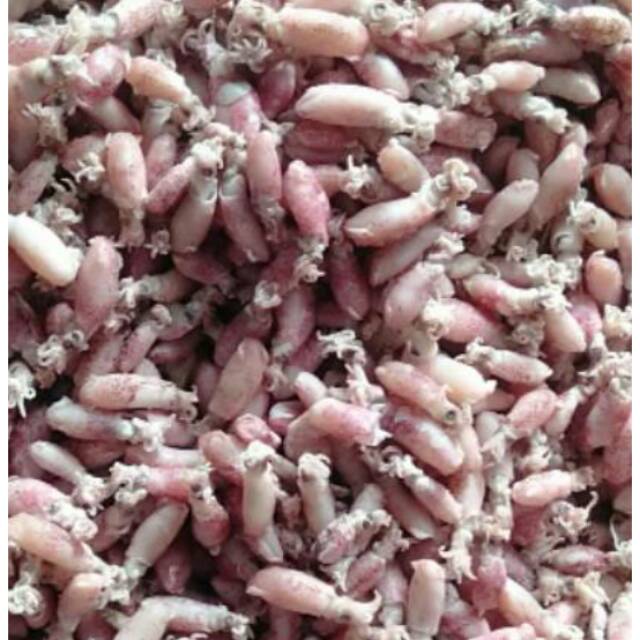 

Baby Cumi Super 250gr