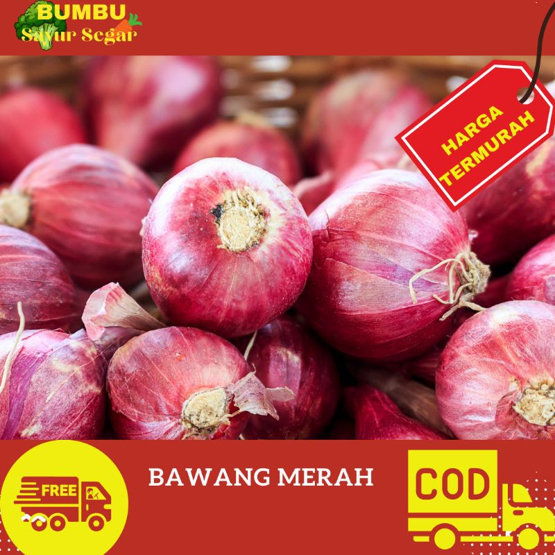 

BAWANG MERAH BREBES SUPER