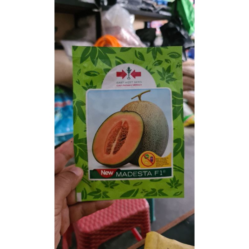 Benih Melon NEW MADESTA 200Butir
