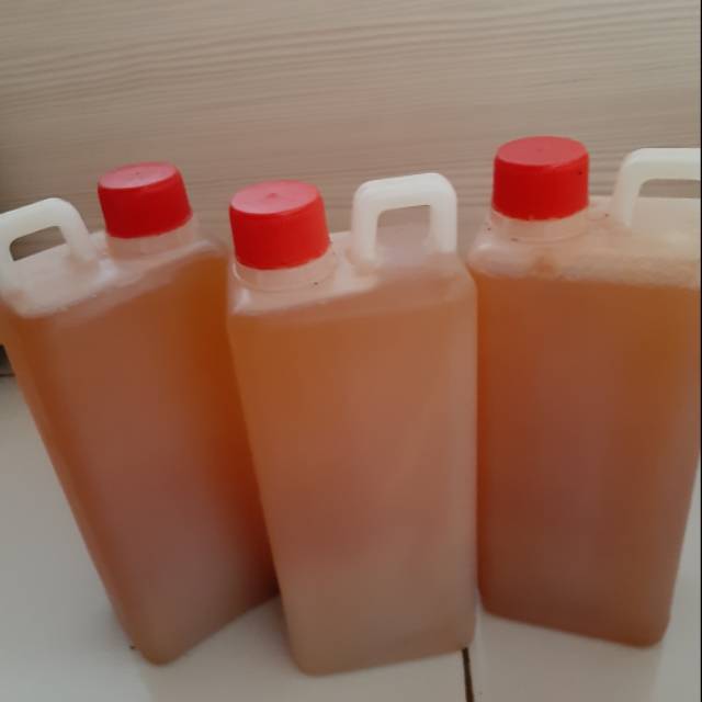 Minyak bulus asli 1 liter