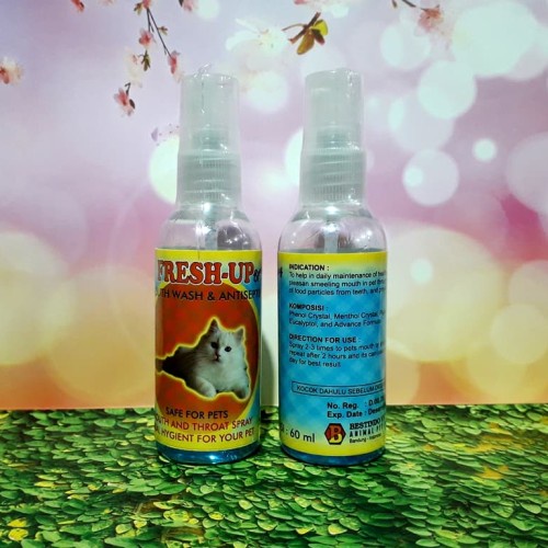 Penghilang Bau Mulut dan Obat Radang Gusi Pada Kucing FRESH UP
