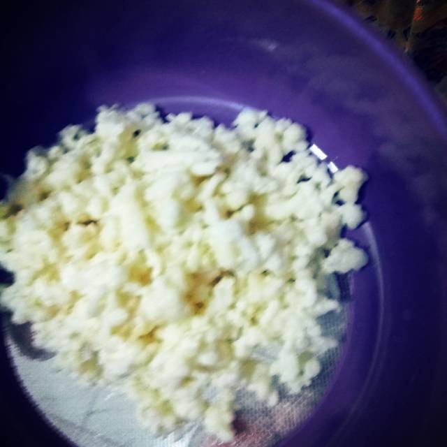 Bibit KEFIR GRAIN 50 gram