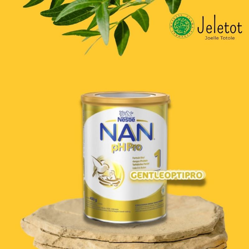 Susu Bayi 0-6 Bulan NAN PH Pro 400 Gram